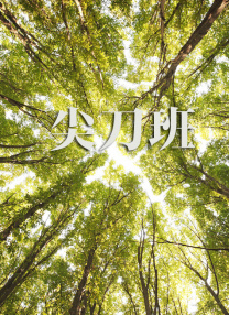多p混交群体交乱文